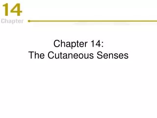 Chapter 14: The Cutaneous Senses