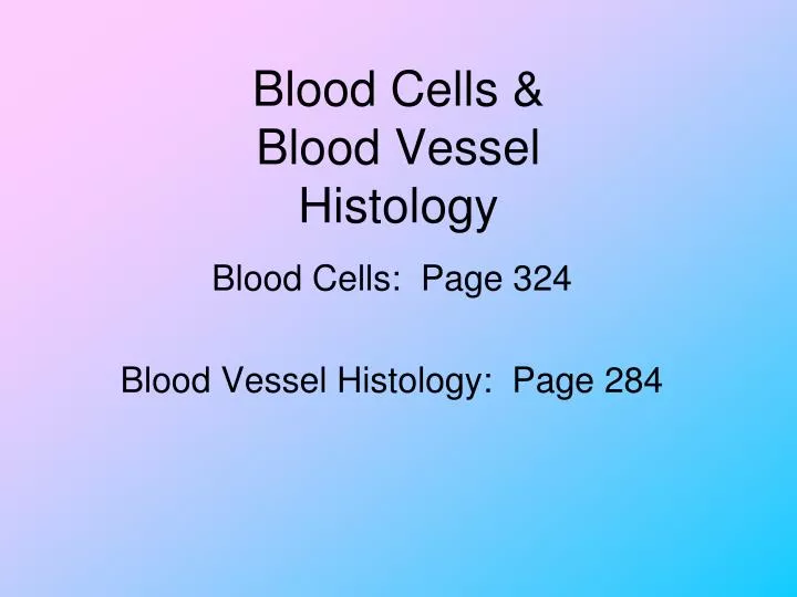 blood cells blood vessel histology