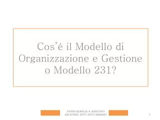Cos’ é il Modello di Organizzazione e Gestione o Modello 231?