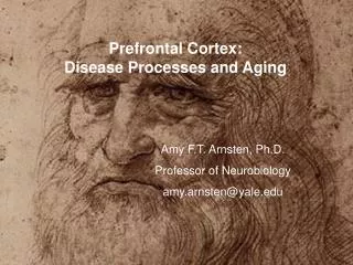 Prefrontal Cortex: Disease Processes and Aging