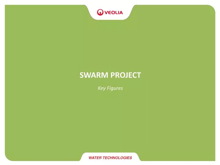 swarm project