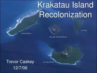 Krakatau Island Recolonization