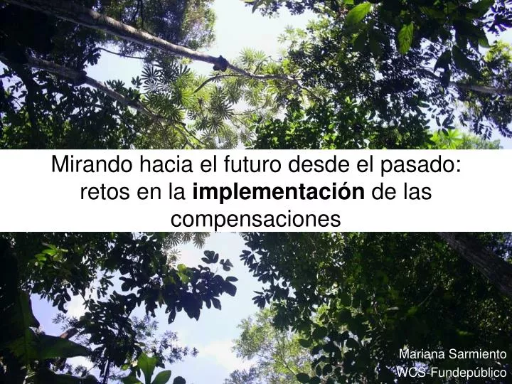 mirando hacia el futuro desde el pasado retos en la implementaci n de las compensaciones