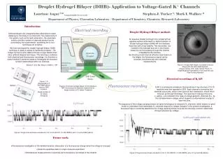 Droplet Hydrogel Bilayer (DHB)- Application to Voltage-Gated K + Channels