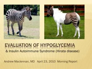 Evaluation of hypoglycemia