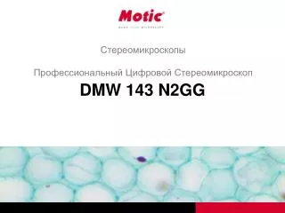 DMW 143 N2GG