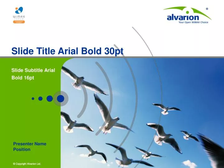 slide title arial bold 30pt