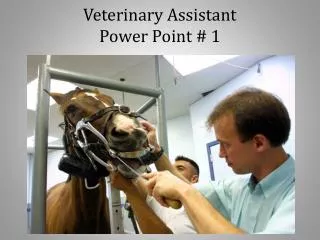 Veterinary Assistant Power Point # 1