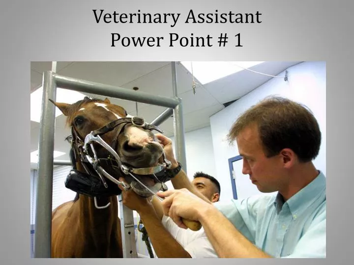 veterinary assistant power point 1