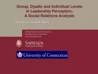 Group, Dyadic and Individual Levels in Leadership Perception: A Social Relations Analysis
