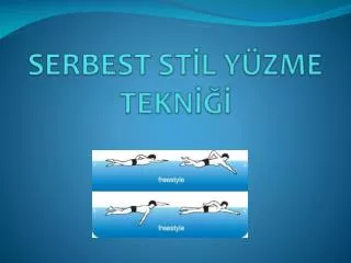 serbest st l y zme tekn