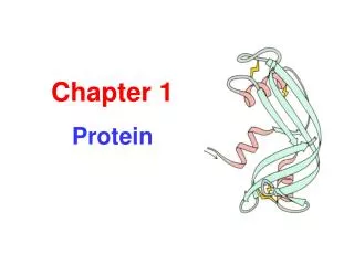 Chapter 1 Protein
