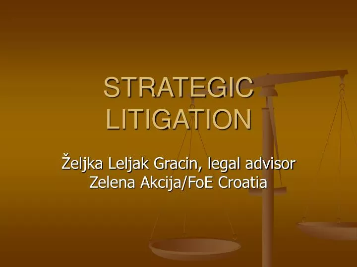 strategic litigation