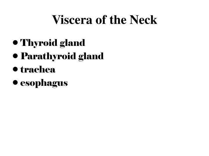 viscera of the neck