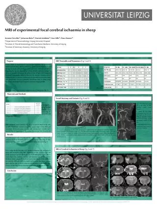 MRI of experimental focal cerebral ischaemia in sheep