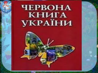 1980р. – видано Червону книгу України.