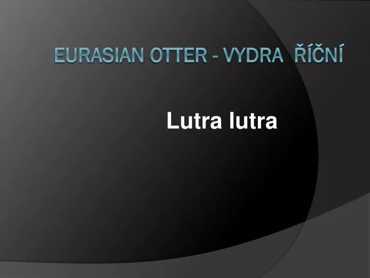 lutra lutra