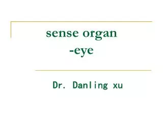sense organ -eye