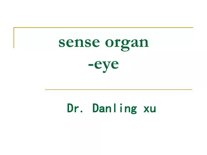 sense organ eye