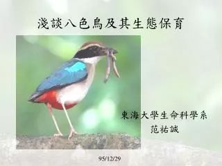 淺談八色鳥及其生態保育