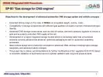 Development of Advanced CNG Storage Systems for Enhanced Automotive Performance - slide 1