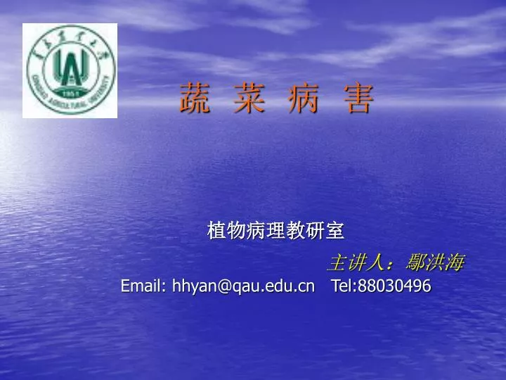 email hhyan@qau edu cn tel 88030496