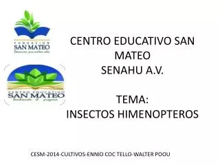 CENTRO EDUCATIVO SAN MATEO SENAHU A.V. TEMA: INSECTOS HIMENOPTEROS