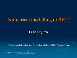 Numerical modelling of BEC *