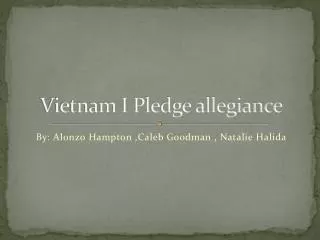 Vietnam I Pledge allegiance