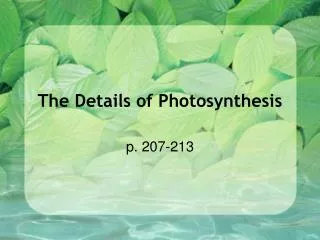 The Details of Photosynthesis