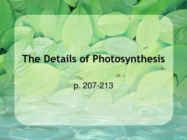 the details of photosynthesis