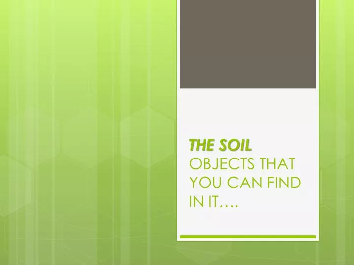 the soil objects that you can find in it