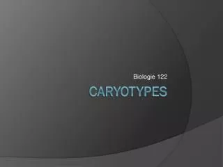 Caryotypes