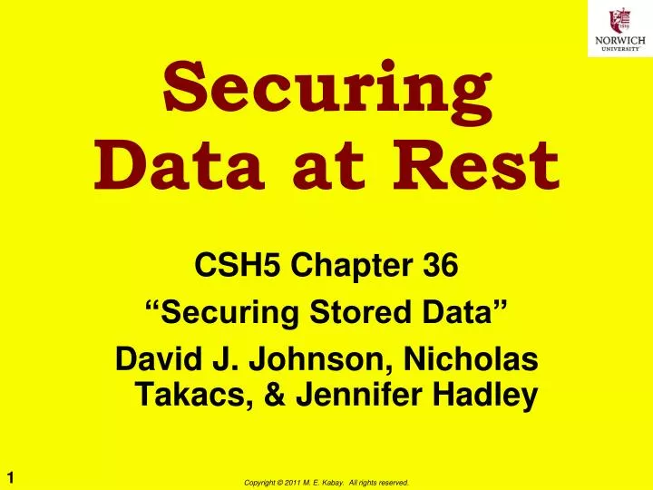 securing data at rest