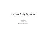 Human Body Systems - slide 1