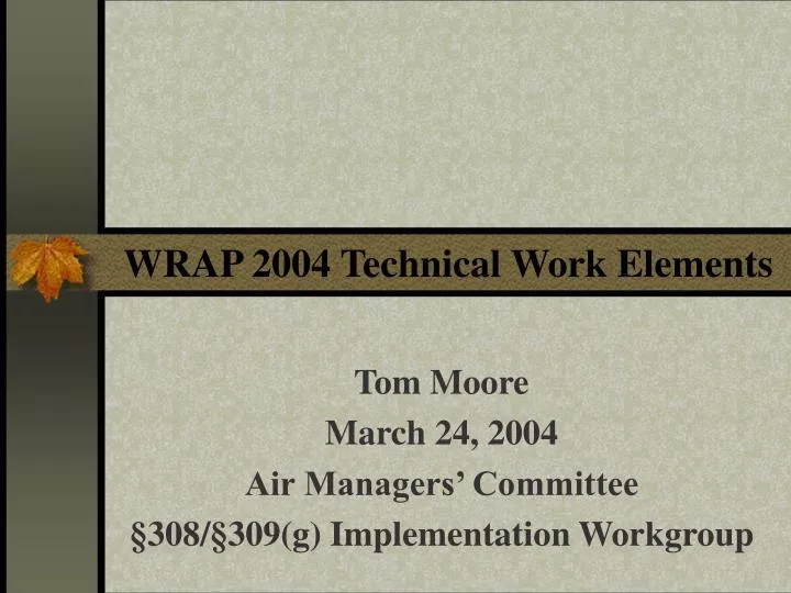 wrap 2004 technical work elements