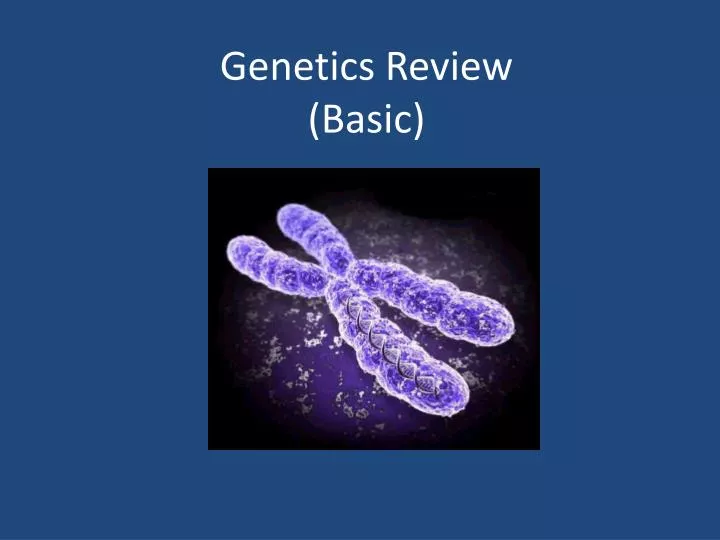 genetics review basic