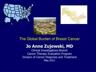 Jo Anne Zujewski, MD Clinical Investigations Branch Cancer Therapy Evaluation Program
