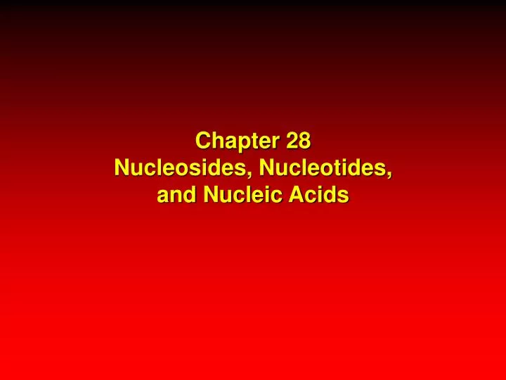 chapter 28 nucleosides nucleotides and nucleic acids