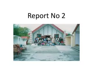 Report No 2