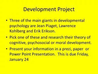 development project