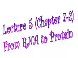 Lecture 5 (Chapter 7-2) From RNA to Protein
