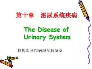 第十章 泌尿系统疾病 The Disease of Urinary System 蚌埠医学院病理学教研室