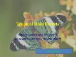 Tropical Rain Forests - slide 1