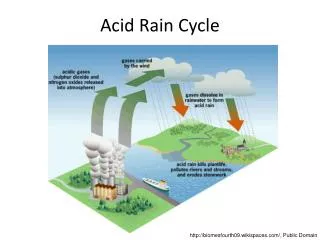 Acid Rain Cycle
