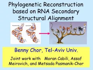 Phylogenetic Reconstruction based on RNA Secondary Structural Alignment