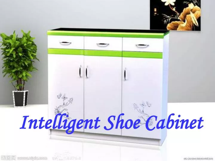 intelligent shoe cabinet