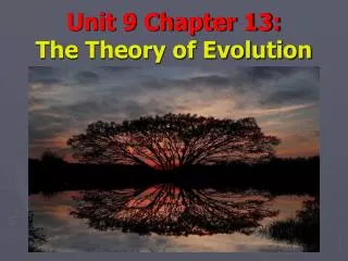 Unit 9 Chapter 13: The Theory of Evolution