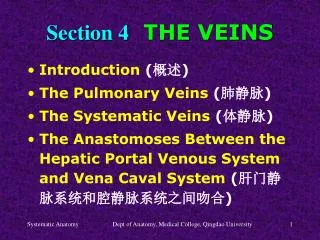 Section 4 THE VEINS