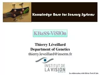 Thierry Léveillard Department of Genetics thierry.leveillard@inserm.fr